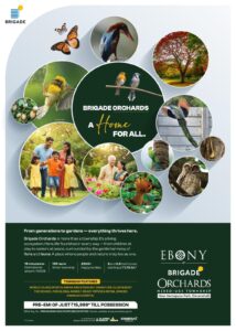 Ebony at Brigade Orchards